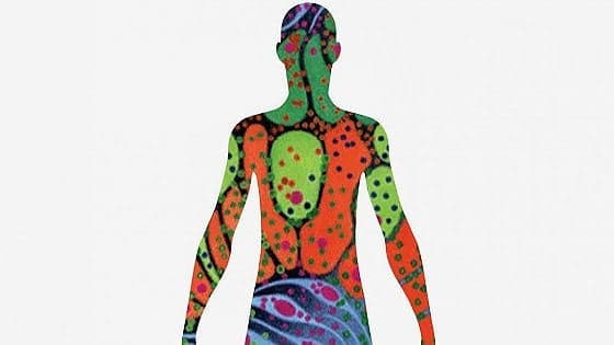 In arrivo l'atlante delle molecole dell'organismo umano