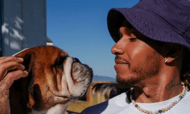 Un anno senza il cane Roscoe: Hamilton ricorda così il suo migliore amico