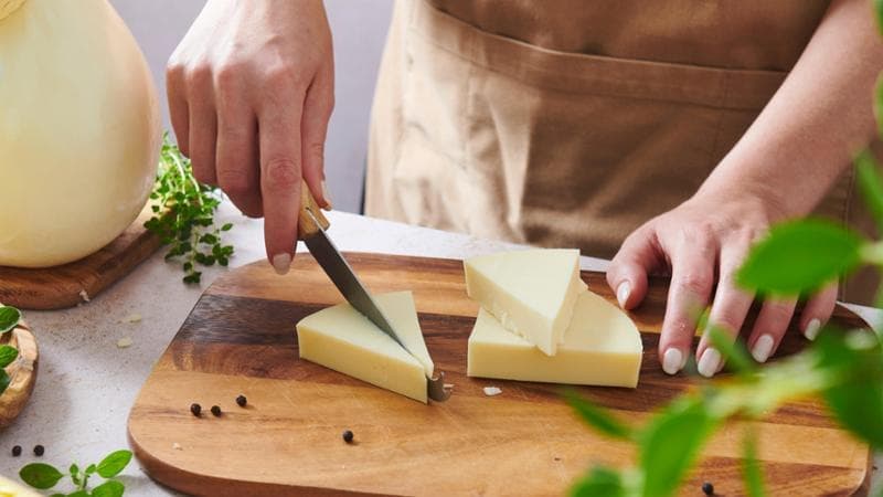 La filiera a imbuto della pianura padana: seicentocinquanta stalle per undici caseifici