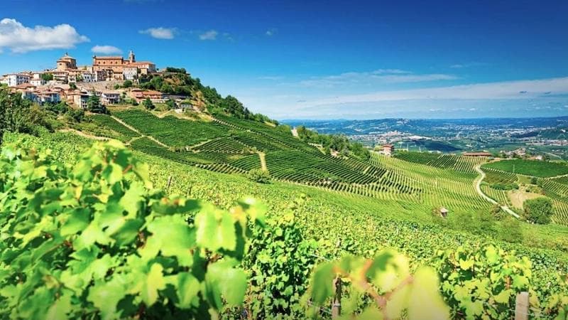 Quel viaggiare lento sulle orme di Fenoglio nelle Alte Langhe che profumano di mare