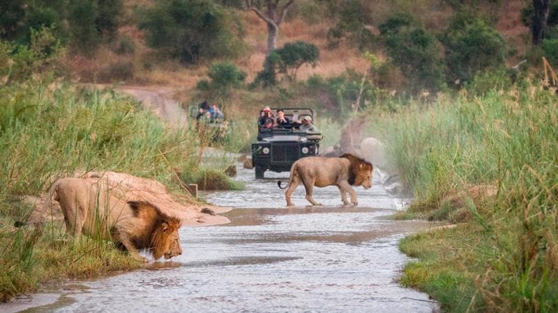 La top ten dei turisti maleducati in Africa: al primo posto gli italiani