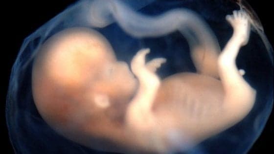 La vista inizia nell'utero