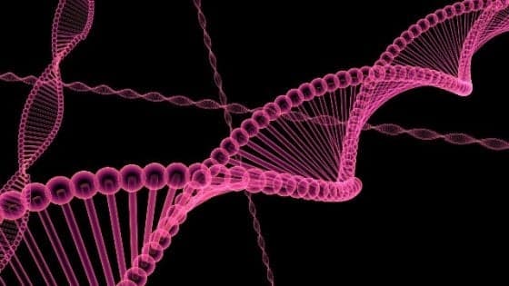 Farmaco efficace su 29 tipi di tumori, colpisce l'alterazione dei geni