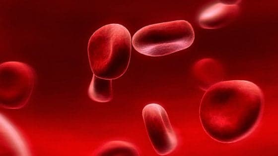 Salvo e Delia: "La talassemia non ci ha spaventati. Abbiamo avuto due figli"