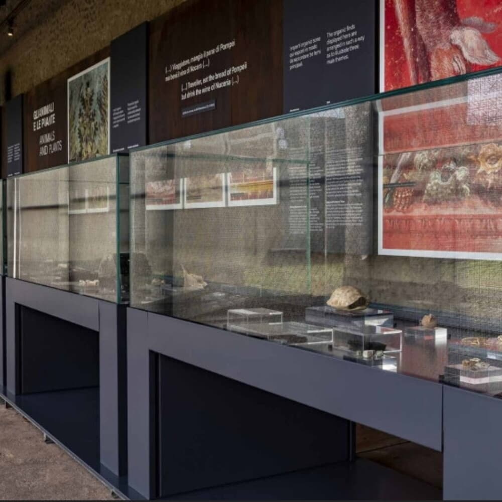 Le ultime ore di Pompei in un memoriale per le vittime dell'eruzione