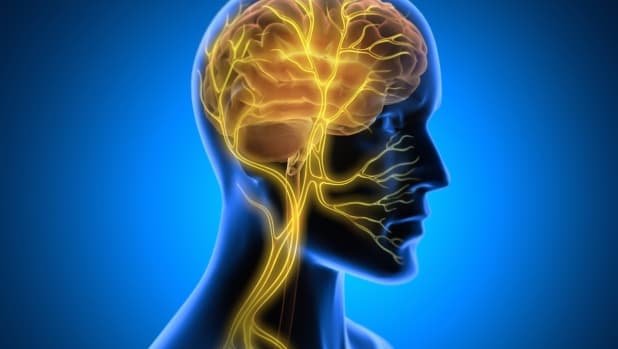 Scoperto il "ponte invisibile" tra nervi e cancro