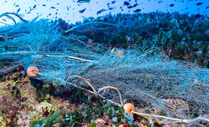 WWF e Carabinieri subacquei rimuoveranno una maxi rete impigliata al largo di Genova