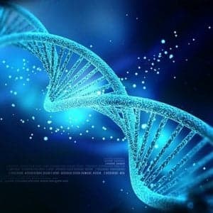 Dal Dna "spazzatura", nuove speranze nella lotta contro il neuroblastoma
