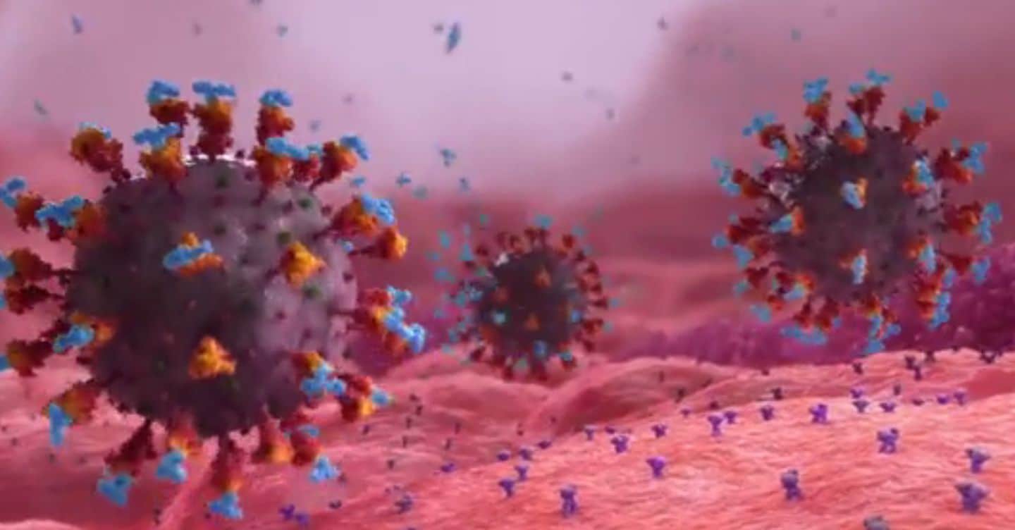 Trump alle farmaceutiche: «Giustificate  il successo dei vaccini contro il Covid»