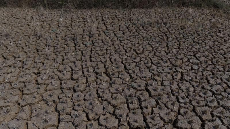 Tavoni: “Per il clima affondano edilizia e agricoltura, danni per 50 miliardi”