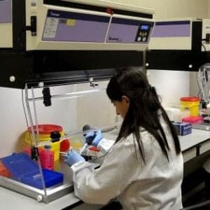 Al Policlinico di Milano la prima terapia genica contro l'emofilia di tipo A