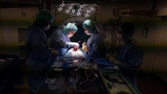 Per la prima volta un paziente operato in "animazione sospesa"
