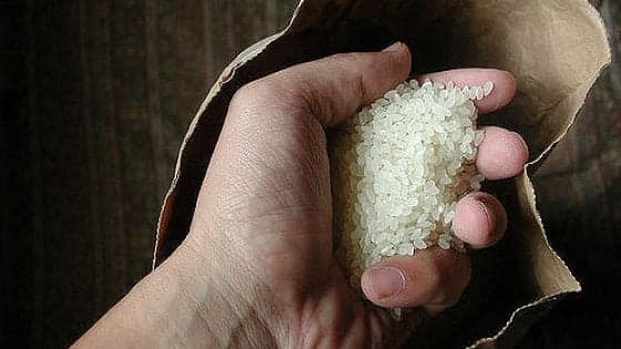 Arriva il riso clonato