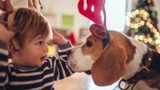 Più animali domestici durante l’infanzia, minore il rischio di sviluppare allergie