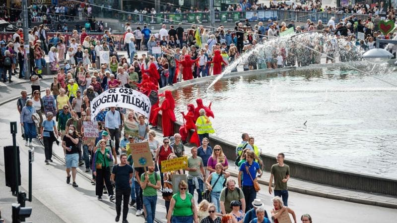 Le nuove battaglie dei Fridays for Future: “Non solo ecoattivisti”