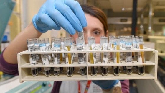 Leucemia linfatica cronica, approvato un nuovo trattamento
