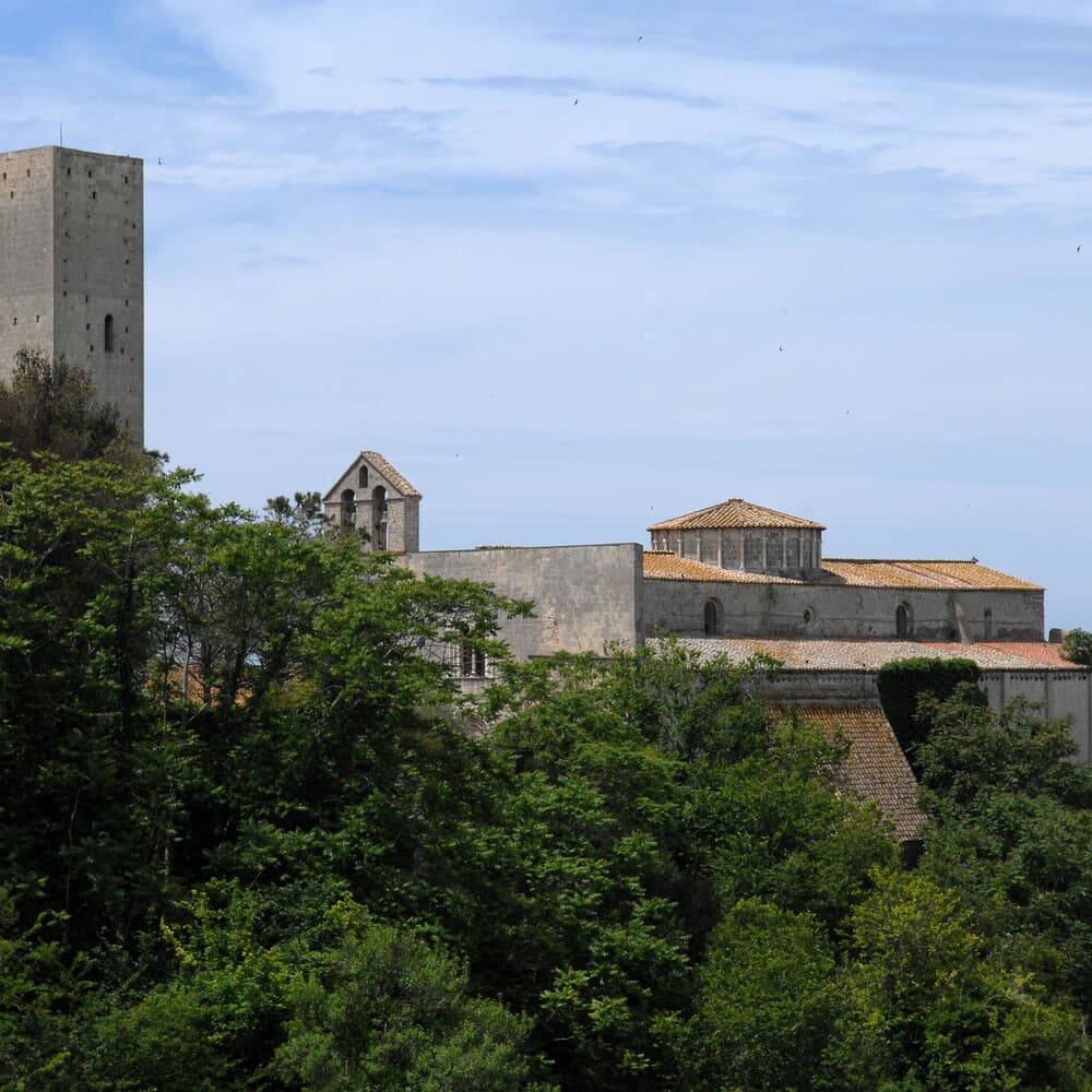 Da Anagni a Vieste: ecco le 23 città candidate a Capitale della Cultura