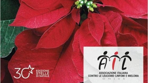 Nelle città italiane tornano le stelle di Natale dell'Ail