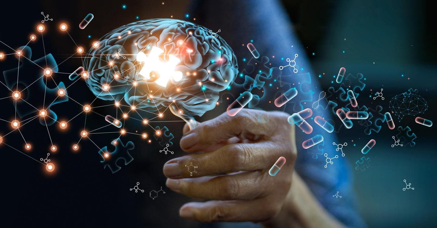 Alzheimer, la nuova via dalla proteina spazzino che ripulisce i neuroni