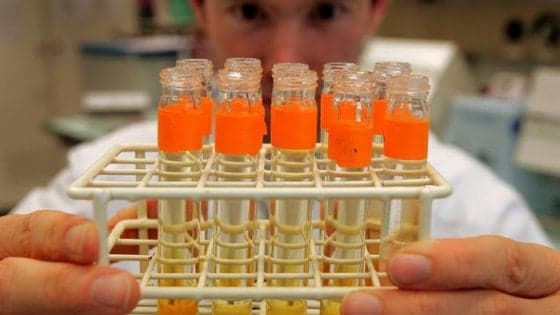 Cina, scienziato annuncia: "Nati i primi bambini con Dna modificato"