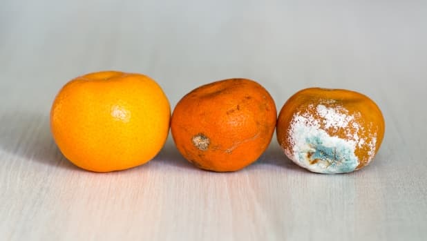 Muffa sulla frutta: basta tagliarla via e mangiare il resto?