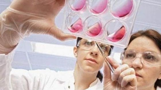 Talassemia, una terapia genica libera i pazienti dalle trasfusioni