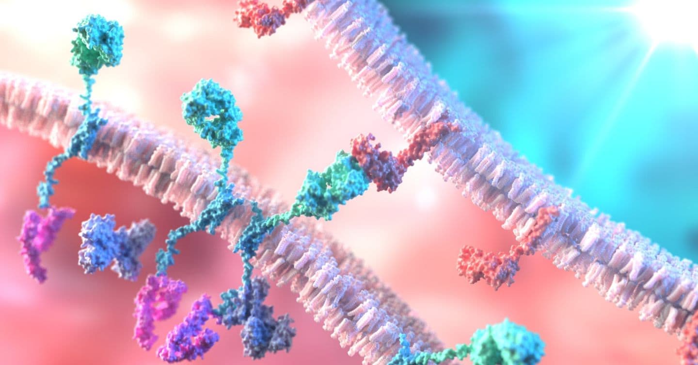 Car-T italiane aprono la strada a cure standard per il neuroblastoma