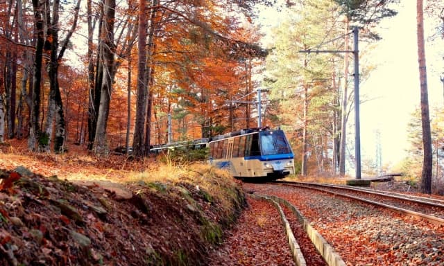 Treno del Foliage 2026: date, prezzi e come arrivare