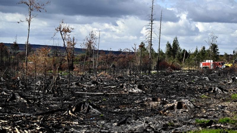Agosto 2026, mai sulla Terra abbiamo misurato tanto caldo. Tutti i dati del rapporto Copernicus