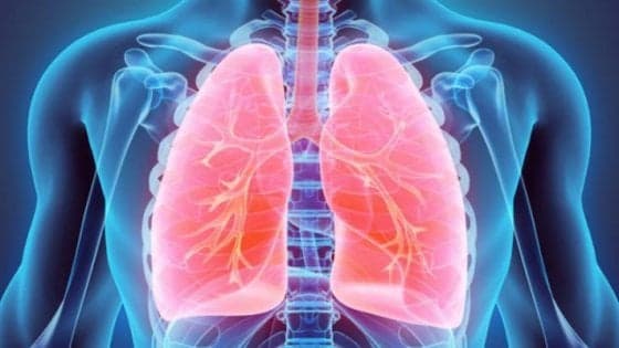 Trapiantati 4 organi su paziente con fibrosi cistica. E' la prima volta in Europa