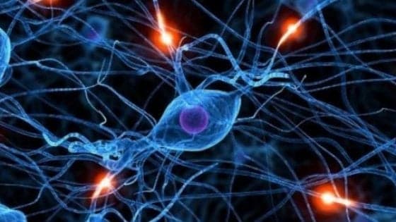 Creati i primi neuroni artificiali. Cureranno malattie croniche e degenerative
