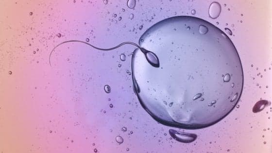 Infertilità maschile: un problema sociale troppo spesso ignorato