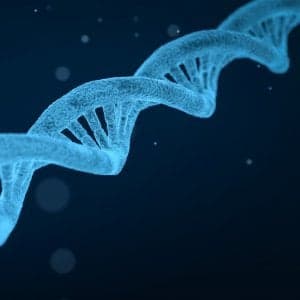 Codice genetico o codice postale: quale conta di più per non ammalarsi