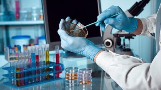 Cordoni ombelicali, il Codacons è pronto a una class action