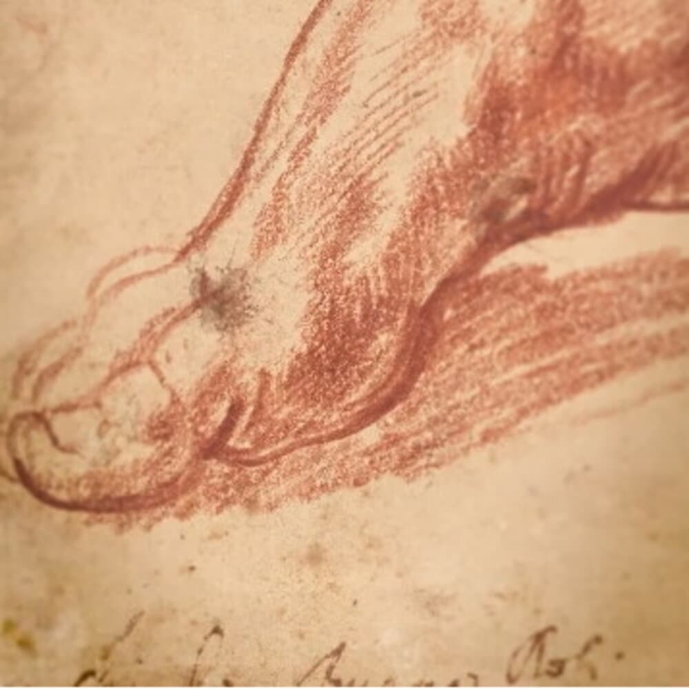Record all’asta per Michelangelo: studio per la Cappella Sistina venduto a 27,2 milioni