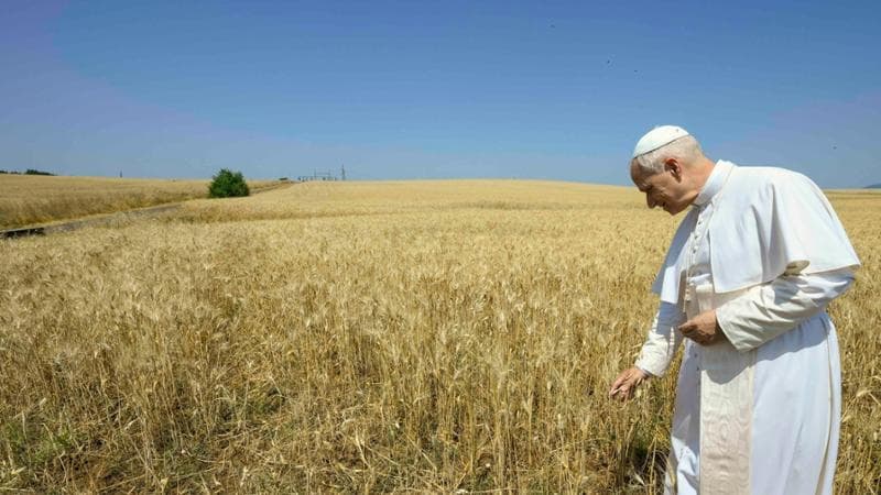 Papa Leone: “Mettiamoci insieme per cercare soluzioni alla guerra”