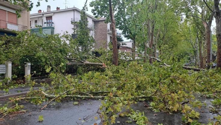 Maltempo Emilia-Romagna, nubifragi e alberi caduti: “Raffiche oltre i 100 km orari”