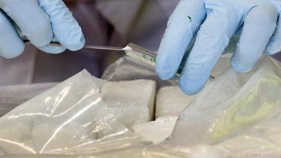 Cocaina, in Europa è la droga più consumata