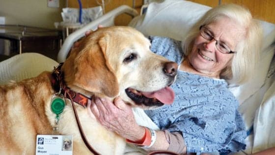 Dottor Fido, aiutaci tu. Su Salute in edicola