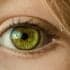 Retina, scoperta la causa di una malattia che “ruba” la vista