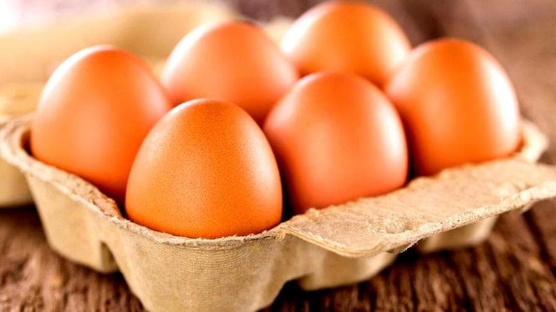 Uova da allevamento all'aperto ritirate per rischio salmonella enteritidis
