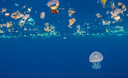 L'87% del Mar Mediterraneo è inquinato!