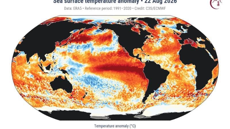 Mari bollenti, nuovo record l’oceano spaventa gli scienziati