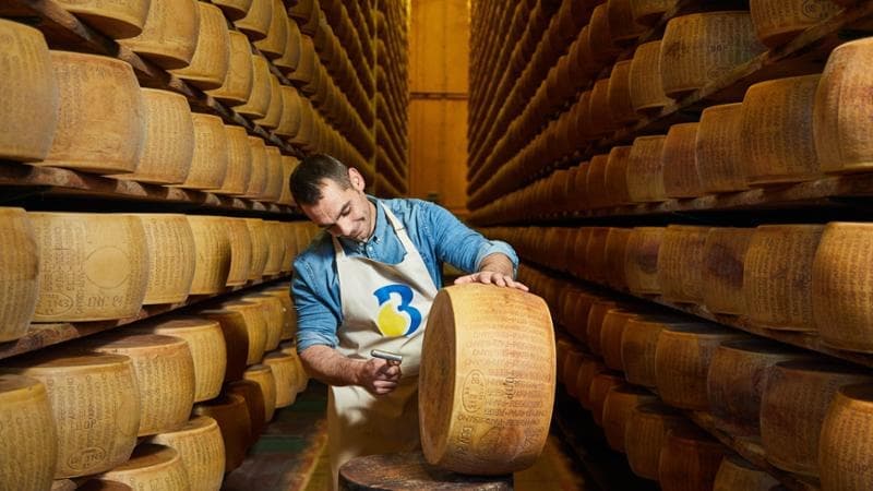 Parmigiano Reggiano, Bontiamo investe nella filiera e acquisisce un caseificio