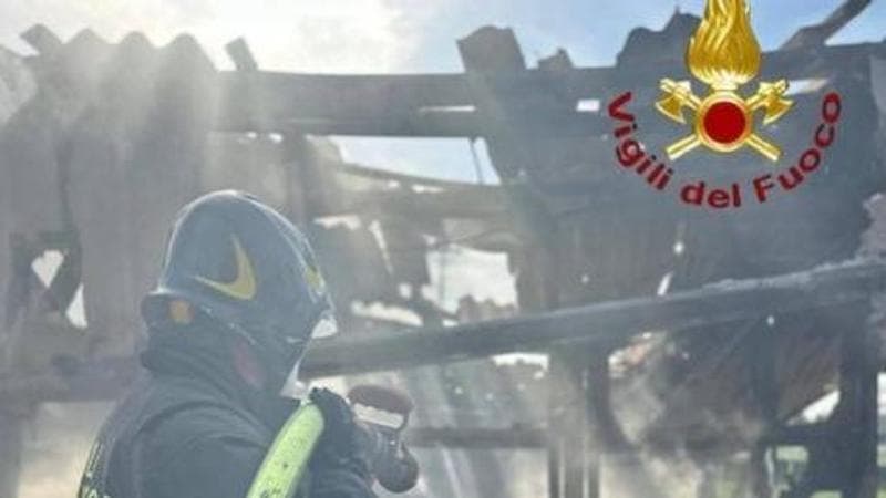Incendio in un ippodromo a Treviso: morti sei cavalli