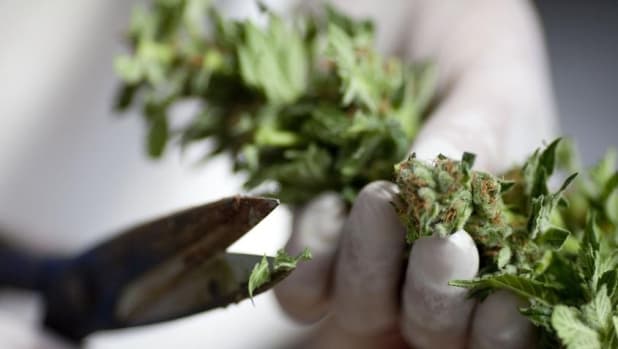 Sequestrati 86 chili di marijuana nel pullman del San Paolo