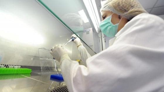 Leucemia mieloide acuta, cure su misura per contrastare le recidive