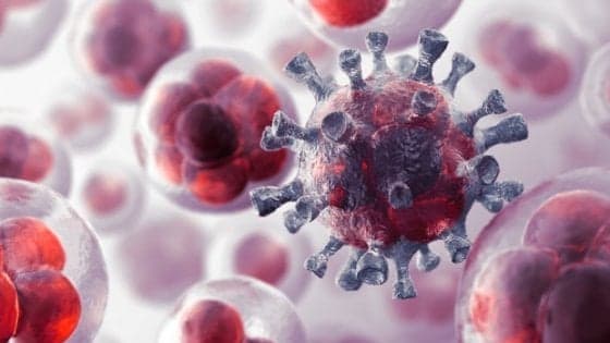 Tumori: neutralizzato il mantello dell'invisibilità. Anche nei più aggressivi