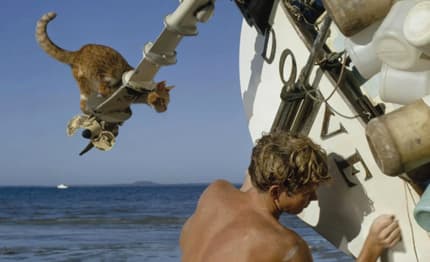 Robin Lee Graham: un giro del mondo senza "tacer dei gatti"