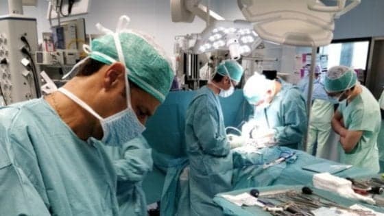 Al Rizzoli di Bologna il primo trapianto al mondo di vertebre umane